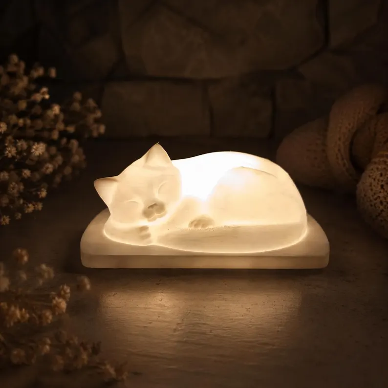 Schlafende Katze Nachtlicht o. LED